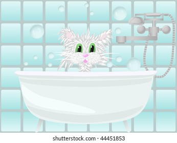 Cat taking bath
