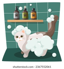 The cat is taking a bath. Care and washing of cats. Cat care. Cute cartoon cat character standing in the shower. design for a grooming salon, veterinary clinic.