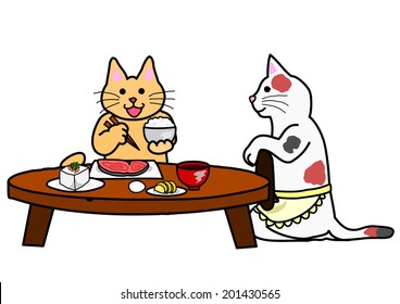 cat taking Japanese breakfast
