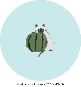 A cat that likes watermelon