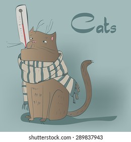 cat with a thermometer 