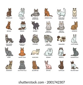 Cat , Thin Line and Pixel Perfect Icons
