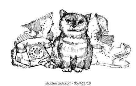 Cat and things. sketches of cat