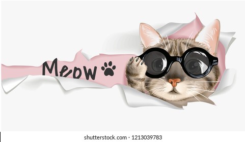 cat through paper illustration