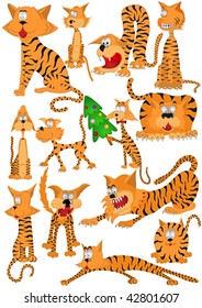 cat tiger