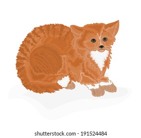 Cat tomcat redheaded vector illustration 