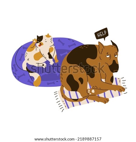 The cat took a dog bed and washes. The dog cowardly sits on the rug. Social relationships, abuse, humiliation and disrespect for a partner. Flat style in vector illustration. Isolated objects. 