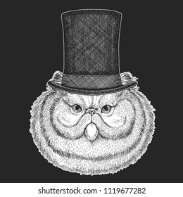 Cat Top hat, cylinder. Hipster animal, gentleman. Classic headdress. Print for children t-shirt, kids clothing.