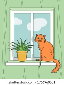 cat tore a flower on the window and sits