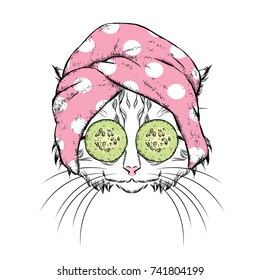 A cat in a towel and with cucumber on his face. Vector illustration. Beauty and spa treatments. Fashion & Style. Funny kitten.