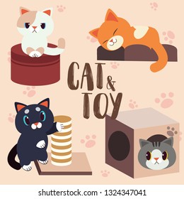 cat and toy set 