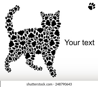 The cat from cat tracks