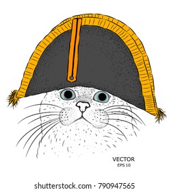 A cat in traditional French headdress. Cap of Napoleon. Vector illustration