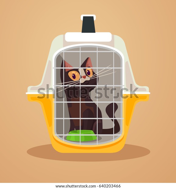 kitten carry case