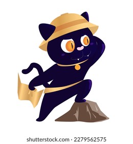 The cat is a traveler