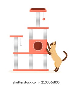 Cat tree with scratching posts. Siamese cat sharpens claws on cat tower. Cat playground and house. Flat style vector