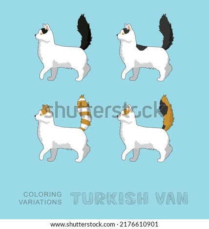 Cat Turkish Van Coloring Variations Vector Illustration