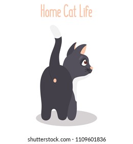 The cat turned backwards color flat icon