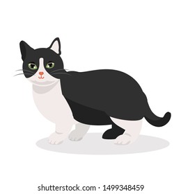 black and white pawed cat clipart