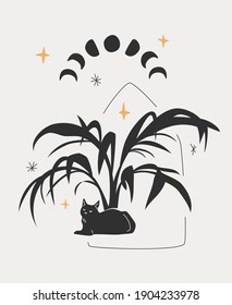 Dibujo celestial de gato bajo palmera. Siluetas negras de fases de la luna, estrellas, palmera y gato doméstico sobre fondo blanco. Diseño de moda.