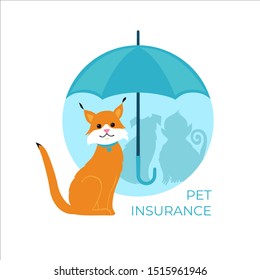 Cat under an umbrella. Pet and Animal insurance concept. Vector illustration.