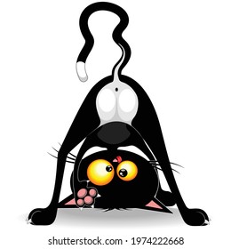 Cat Upside Down Funny Cartoon Character Vector Illustration isolated on white 
