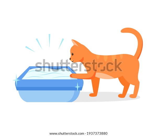 清潔なトイレを使った猫 猫のトイレを管理する正しい方法 ペットトイレの衛生のコンセプト ベクターイラスト のベクター画像素材 ロイヤリティフリー