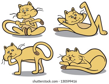 Cat in various poses