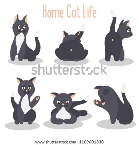 Cat in various poses color flat icons set