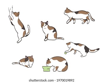 Cat Various Poses Set Tortoiseshell Cat