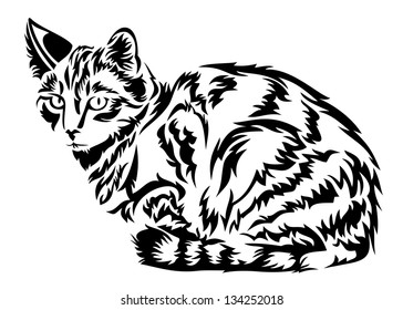 Cat in vector
