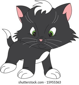 cat, vector