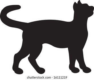 cat, vector