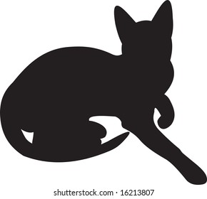 cat, vector