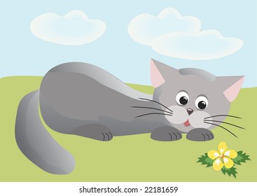 Cat. Vector