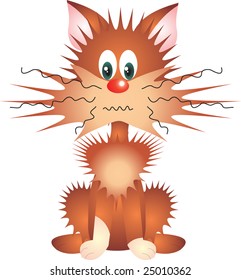 cat vector