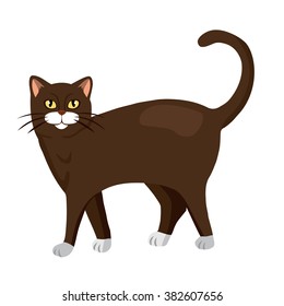 cat vector