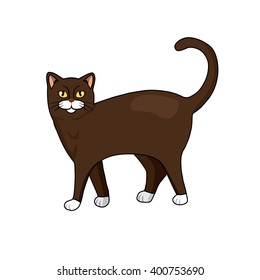 cat vector