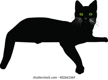 cat vector