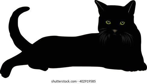 cat vector