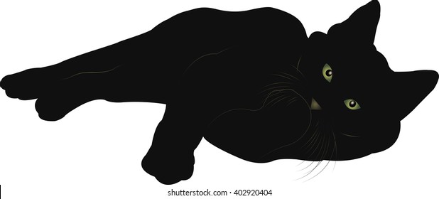cat vector