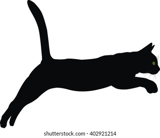 cat vector