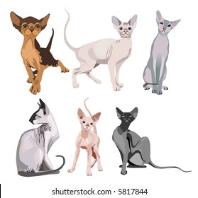 Cat vector