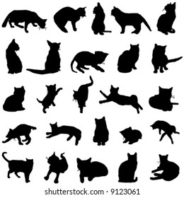 vector de gato