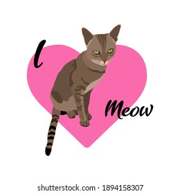 Cat vector art with heart symbol in background and text I love Meow