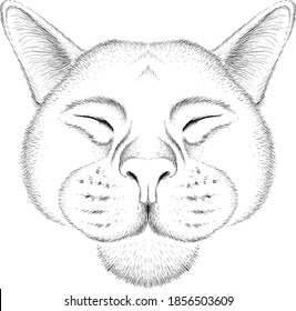 Cat vector art illustration T-shirt apparel tattoo design or outwear.  Cute print style kitten background. This hand drawing would be nice to make on the black fabric or canvas