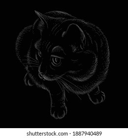 Cat vector art illustration T-shirt apparel tattoo design or outwear.  Cute print style kitten background. This hand drawing would be nice to make on the black fabric or canvas.