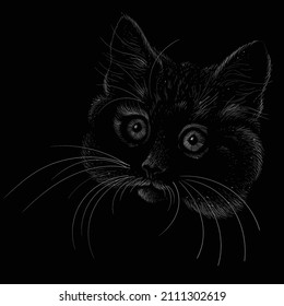 Cat vector art illustration T-shirt apparel tattoo design or outwear.  Cute print style kitten background. This hand drawing would be nice to make on the black fabric or canvas.