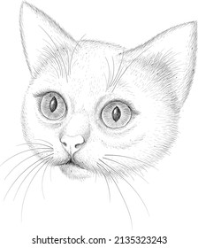 Cat vector art illustration T-shirt apparel tattoo design or outwear.  Cute print style kitten background. This hand drawing would be nice to make on the black fabric or canvas.