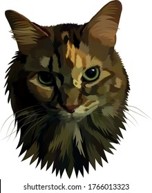 Cat Vector Artist Drawing No Background Stock Vector (Royalty Free ...